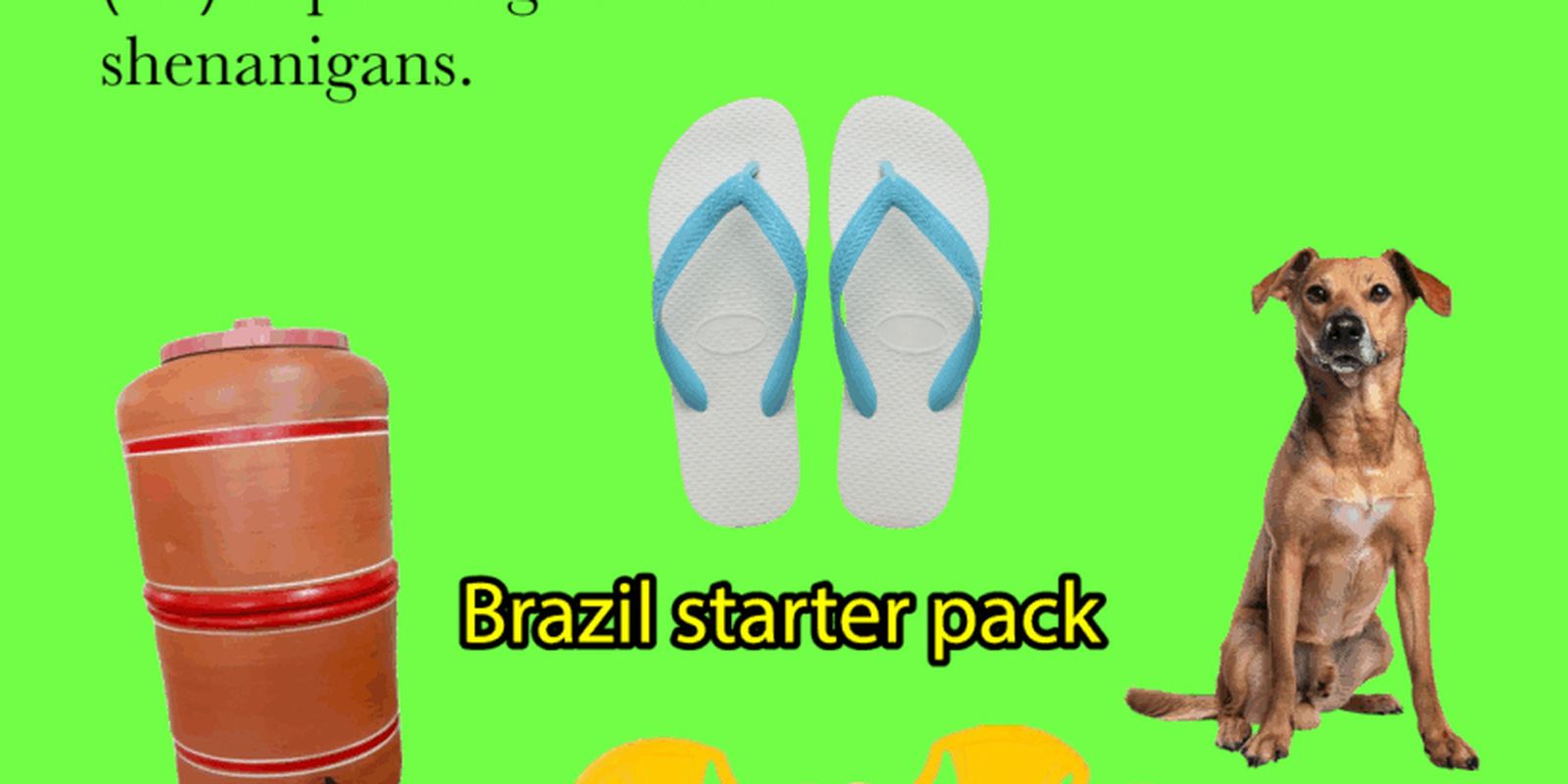 exposicao-de-memes-leva-arte-e-critica-social-ao-ccbb-sao-paulo