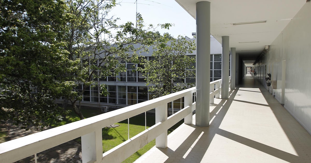 alunos-do-ita-criam-jogo-que-simula-ilha-de-epstein-com-adolescente-que-precisa-fugir-de-6-homens