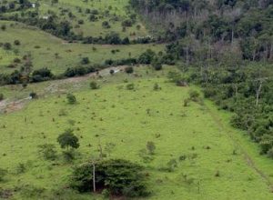 governo-prorroga-prazo-para-georreferenciamento-de-imoveis-rurais