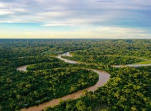 premio-jovem-cientista-reconhece-iniciativas-de-combate-a-mudanca-do-clima;-conheca-os-ganhadores