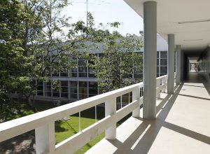 alunos-do-ita-criam-jogo-que-simula-ilha-de-epstein-com-adolescente-que-precisa-fugir-de-6-homens