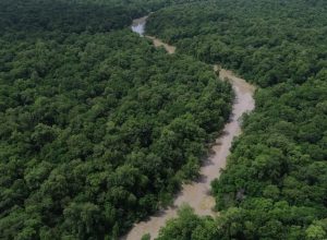 consorcio-da-amazonia-legal-debate-politicas-publicas