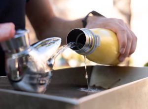 bebedouros-que-nao-sao-bem-higienizados-podem-contaminar-agua,-aponta-estudo