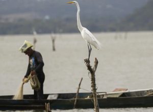 mudancas-aprovadas-para-o-seguro-defeso-previnem-fraudes,-diz-relator